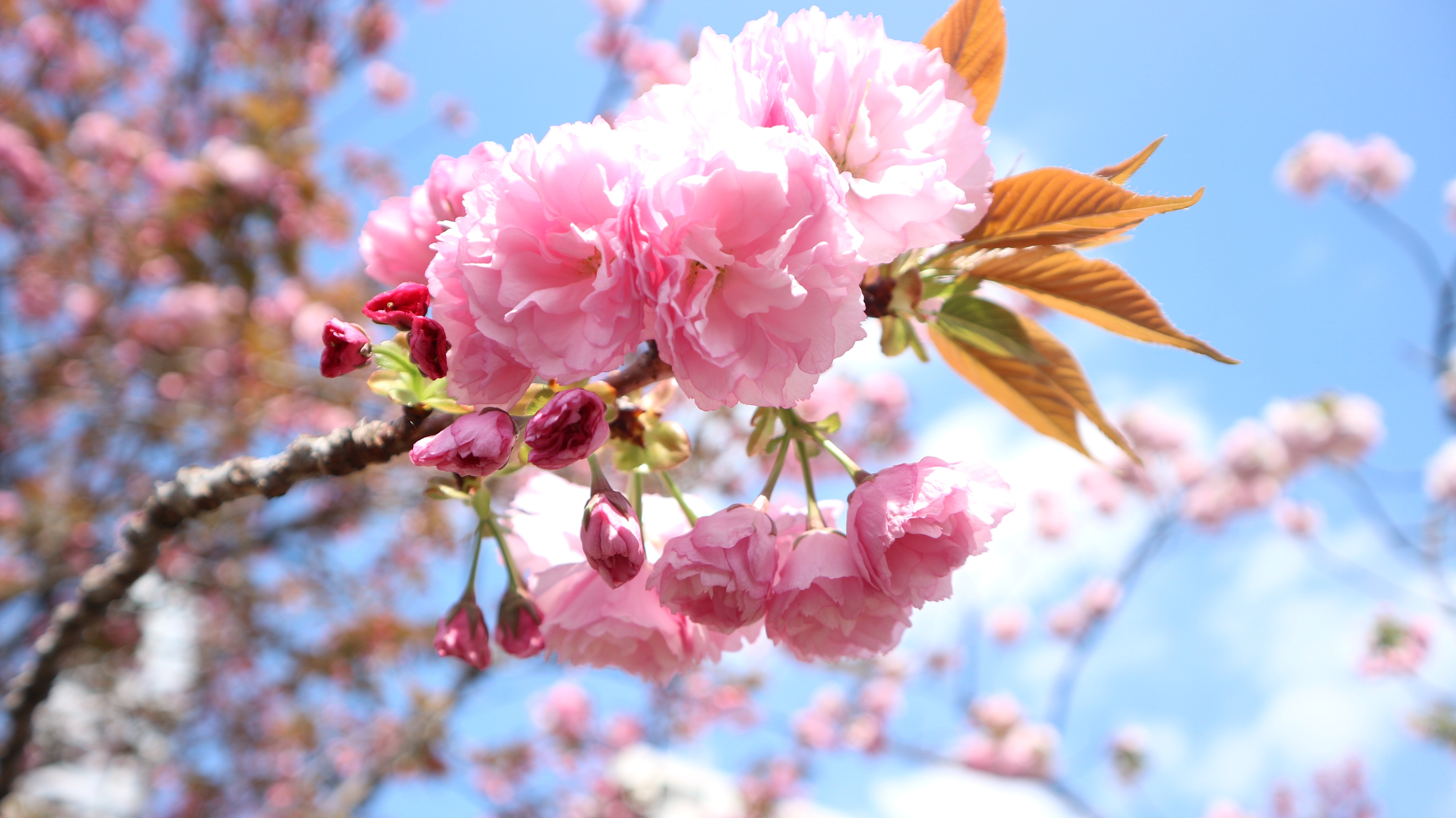 Photography 1